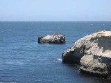 Thumbnail of IMG_0186.JPG