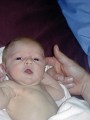 Thumbnail of P1010067.jpg