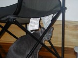 Thumbnail of P9100011.JPG