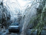 Thumbnail of IMG_0535.JPG