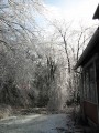 Thumbnail of IMG_0530.JPG
