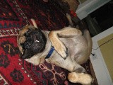 Thumbnail of IMG_0459.jpg