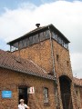 Thumbnail of IMG_1295.jpg
