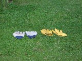 Thumbnail of IMG_0755.jpg