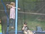 Thumbnail of IMG_0729.jpg