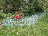 Thumbnail of IMG_0740.jpg