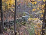Thumbnail of P1010154.jpg