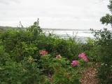 Thumbnail of IMG_3307.JPG