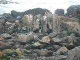 Thumbnail of IMG_3311.JPG