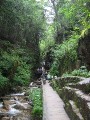 Thumbnail of IMG_3025.JPG
